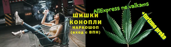 дживик Краснослободск