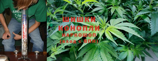 дживик Краснослободск