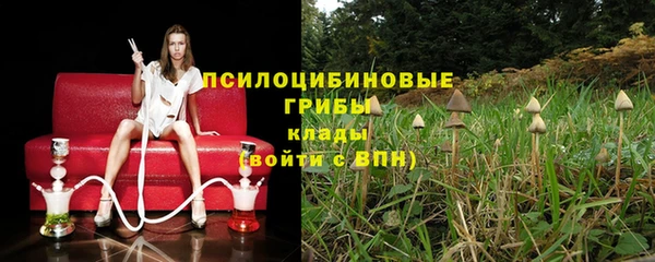 дживик Краснослободск