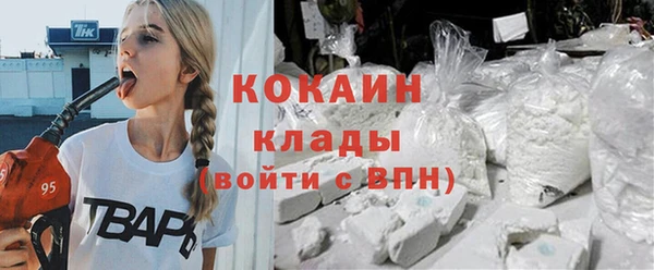 дживик Краснослободск